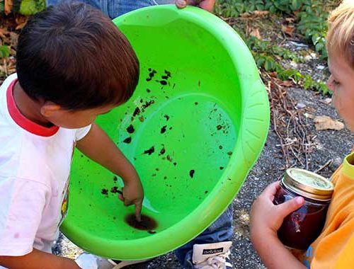 Vendemmia Dei Bambini 6