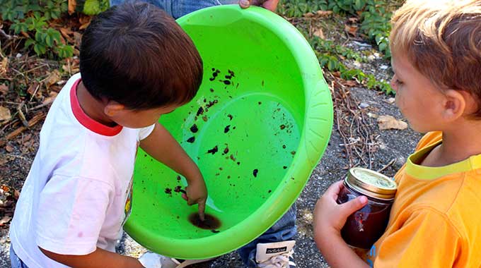 Vendemmia Dei Bambini 6